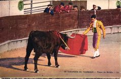 CPA Corrida Course de taureaux Passe de Muleta 