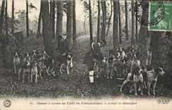 CPA Chasse a courre en Foret de Fontainebleau Avant le decoupler Chiens Chien 