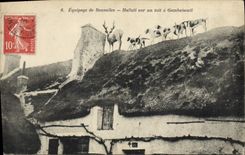 Vintage Postcard Chasse has courre Equipage of Bonnelles Hallali on a roof has Gambaiseuil Chiens Dog