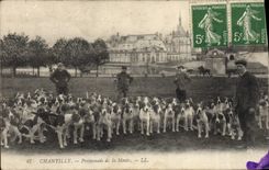 CPA Chasse a courre Chantilly Promenade de la meute Chiens Chien 