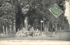 CPA Chasse a courre Foret de Chantilly La meute allant au rendez vous Chiens Chien 