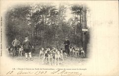 Vintage Postcard Chasse has courre out of Drill of Fontainebleau Chiens of pack before uncouples Chiens Dog