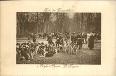 Vintage Postcard Chasse has courre Foret of Fontainebleau the report Chiens Dog