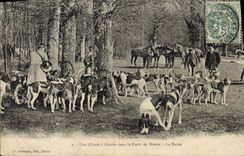 CPA Chasse a courre dans la foret de Dreux La meute Chiens Chien 