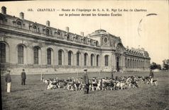 Vintage Postcard Chasse has courre Chantilly Meute of the crew of SAR Mgr the Duke of Chartres on the lawn in front of the stables Chiens Dog