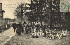 CPA Chasse a courre Les piqueurs faisant leur rapport Chiens Chien 
