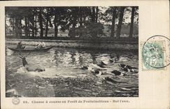 CPA Chasse a courre en foret de Fontainebleau Bat l'eau Chiens Chien 
