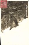 Vintage Postcard Chasse has courre Olympic Mountains