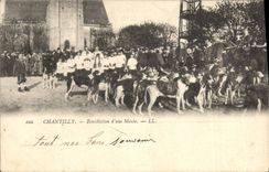 CPA Chasse a courre Chantilly Benediction d'une meute Chiens Chien 