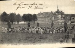 CPA Chasse a courre Chantilly Promenade de la meute Chiens Chien 