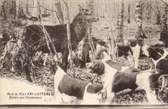 Vintage Postcard Chasse has courre Foret of Villers Cotterets Hallali in Dayancourts Cerf
