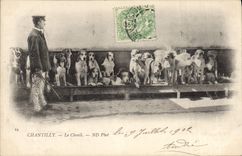 CPA Chasse a courre Chantilly Le chenil Chiens Chien 