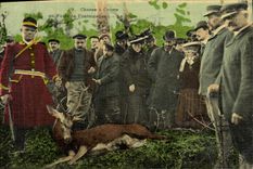 Vintage Postcard Chasse has courre out of Drill of Fontainebleau death (chart toilee) SIGNAL