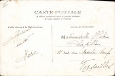 Vintage Postcard Cats cat Kitten