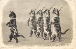 CPA Chats chat Chaton Some of the upright Militaria 