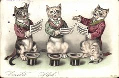 CPA Chats chat Chaton 