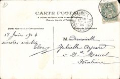 Vintage Postcard Cats cat Music