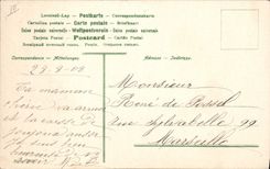 Vintage Postcard Apes Monkeys Violin