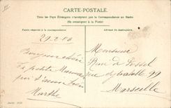 CPA Singe Singes Musique Cuivres Violon 