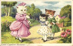 CPA Chats Chat Chaton Gentil coquelicot Mesdames 