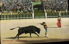 Vintage Postcard Corrida Bullfight Sorte will vara Caida perigosa