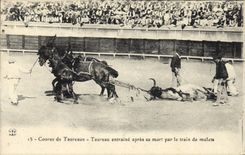 CPA Corrida Course de taureaux Taureau entraine apres sa mort par le train de mulets 