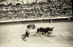 CARTE PHOTO Corrida Course de taureaux Nimes 