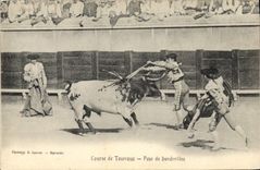 Vintage Postcard Corrida Bullfight Poses banderillas