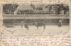 Vintage Postcard Corrida Bullfight Toreador profiles before carrying the thrust