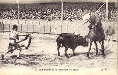Vintage Postcard Bullfight Bullfight a spade and the matador in Quite