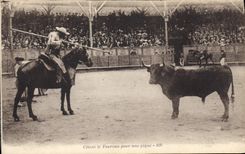 CPA Corrida Course de taureaux Citant le taureau pour une pique 