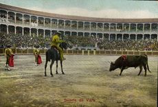 CPA Corrida Course de taureaux Suerte de Vara 