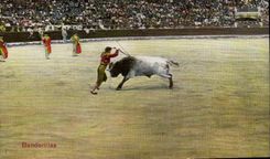 CPA Corrida Course de taureaux Banderillas 