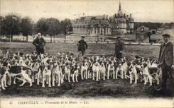 CPA Chasse a courre Chantilly Promenade de la meute Chiens Chien 