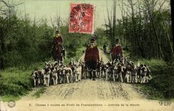 Vintage Postcard Chasse has courre out of Drill of Fontainebleau Arrivee of the pack Chiens Dog