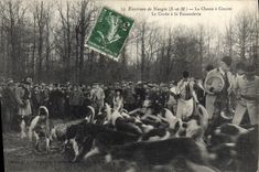 CPA Chasse a courre Environs de Nangis La curee a la faisanderie Chiens Chien TOP 