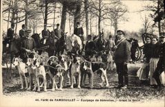 Vintage Postcard Chasse has courre Foret of Rambouillet Equipage of Bonnelles Before the impetus Chiens Dog