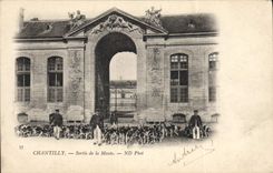 CPA Chasse a courre Chantilly Sortie de la meute Chiens Chien 