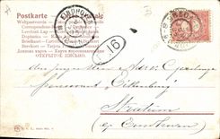 Vintage Postcard Chasse has courre Cavalier Horse Dogs Dog