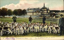CPA Chasse a courre Chantilly Promenade de la meute Chiens Chien 
