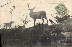 Vintage Postcard Chasse has courre out of Drill of Fontainebleau Hallali current Chiens Dog