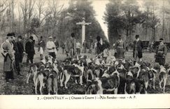 CPA Chasse a courre Chantilly Un rendez vous Chiens Chien 