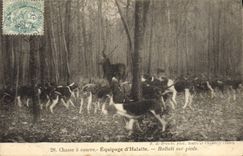 Vintage Postcard Chasse has courre Equipage of Halatte Hallali on feet Chiens Dog