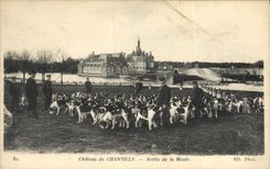 CPA Chasse a courre Chateau de Chantilly Sortie de la meute Chiens Chien 
