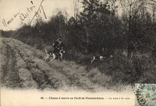 CPA Chasse a courre en Foret de Fontainebleau La mise a la voie Chiens Chien 