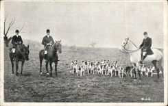 Vintage Postcard Chasse has courre Chiens Dog