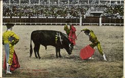 Vintage Postcard Bullfight Bullfight el dascabello