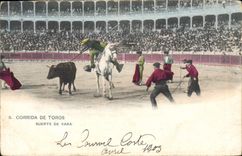 CPA Corrida Course de taureaux Corrida de Toros Suerte de Vara 