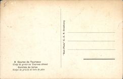 Vintage Postcard Bullfight Bullfight Blow of thanks to the bull upright