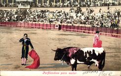 Vintage Postcard Bullfight Bullfight Perfilandose para matar